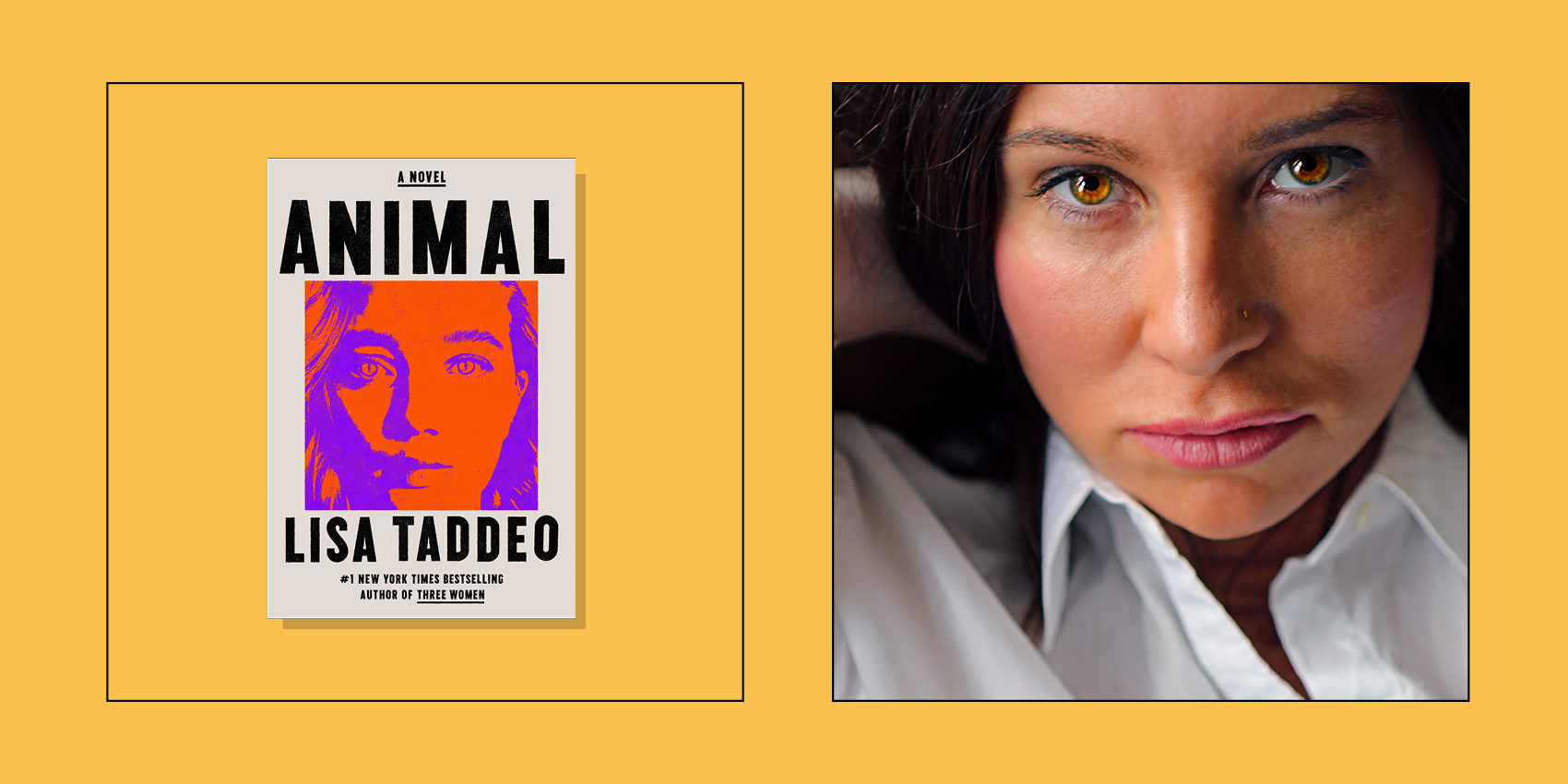 the animal lisa taddeo