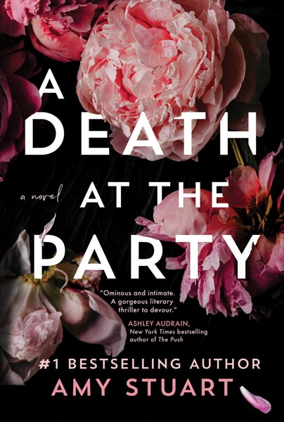 A Death at the Party book cover image