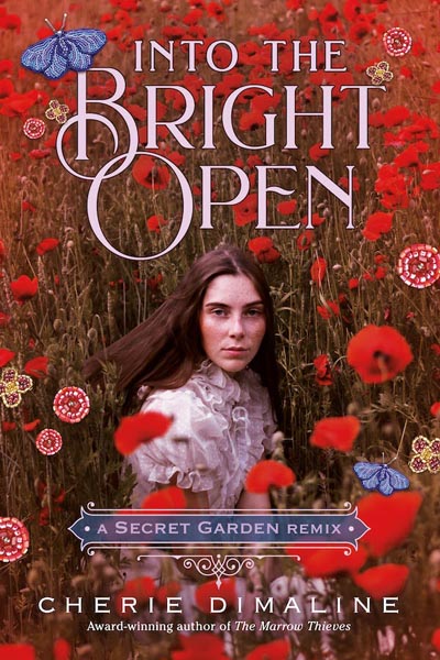 Into the Bright Open book cover image