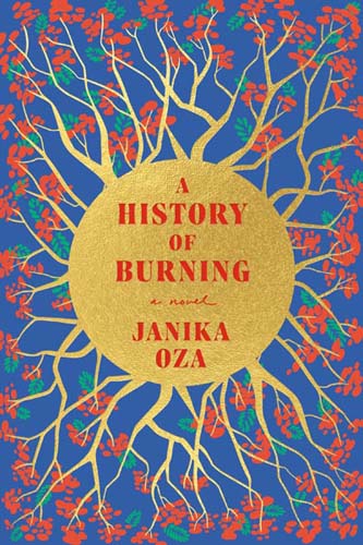 A History of Burning book cover image