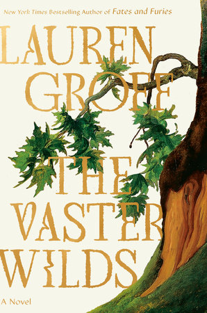 The Vaster Wilds book cover image