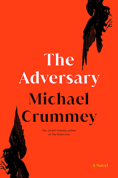 The Adversary book cover image