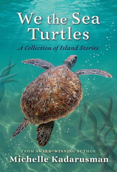 We the Sea Turtles book cover image