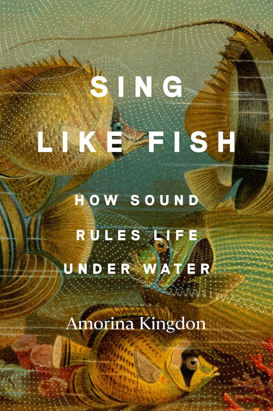 Sing Like Fish book cover image