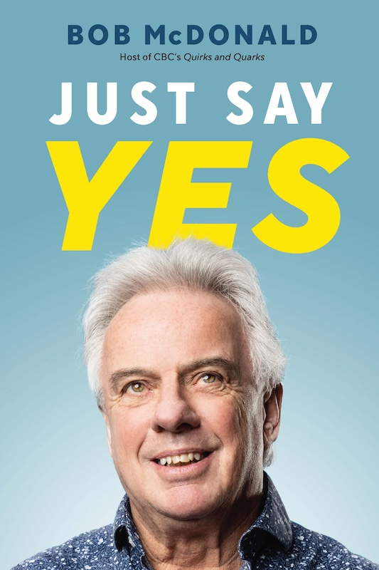 Just Say Yes book cover image