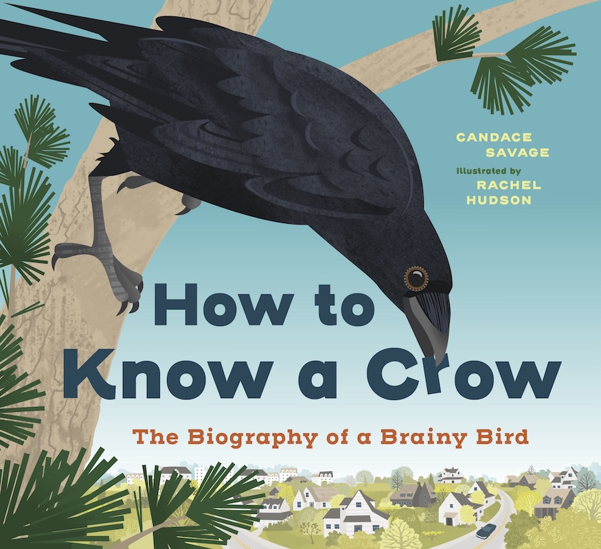 How to Know a Crow book cover image