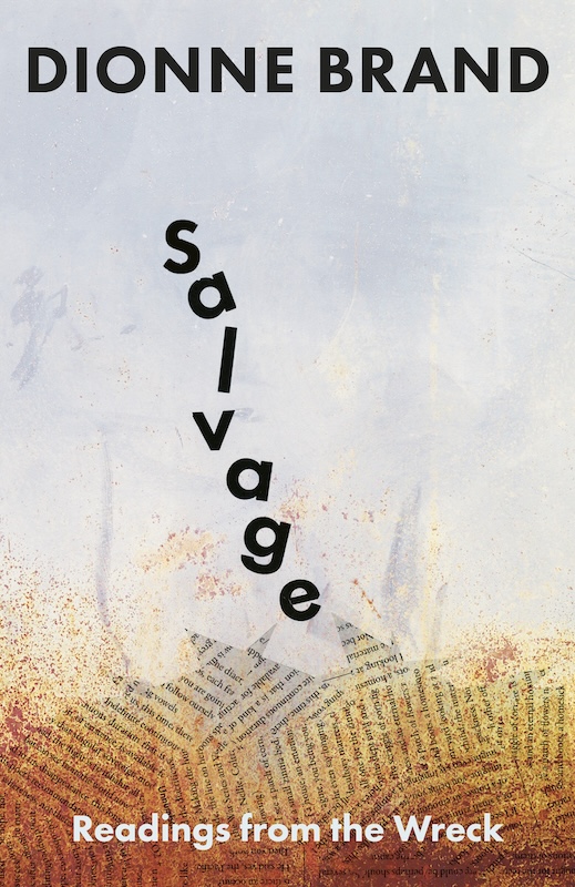 Salvage book cover image