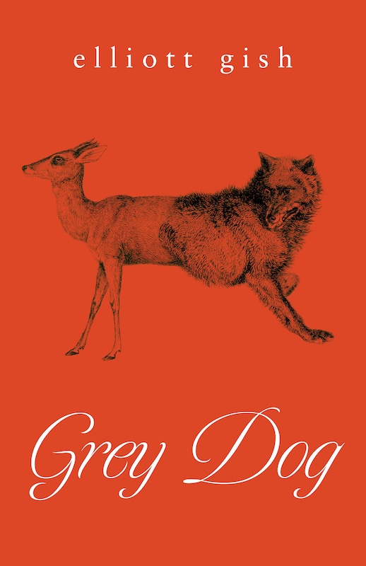 Grey Dog book cover image