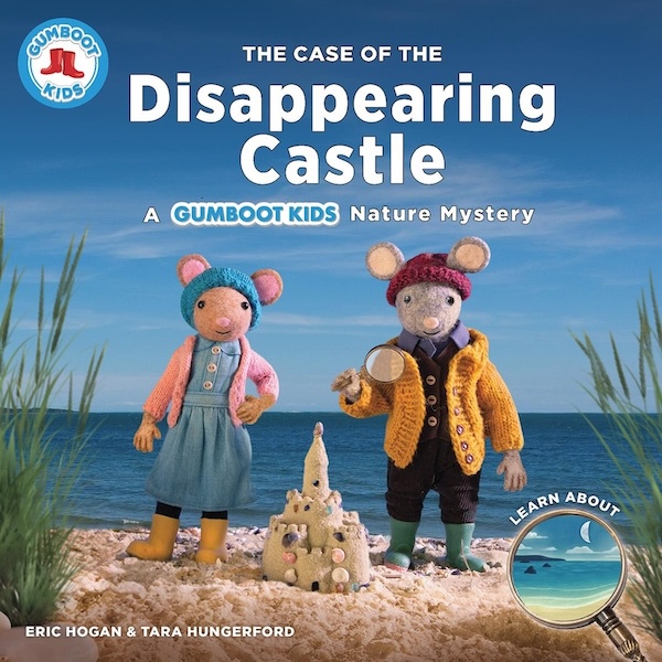 The Case of the Disappearing Castle book cover image