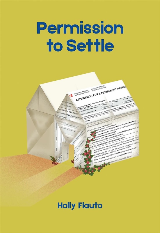 Permission to Settle book cover image