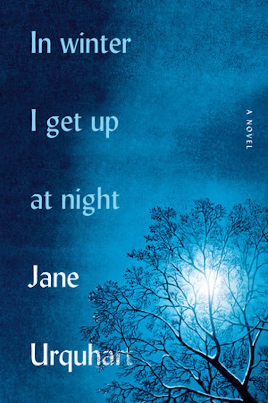 In Winter I Get Up at Night book cover image