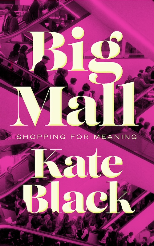 Big Mall book cover image
