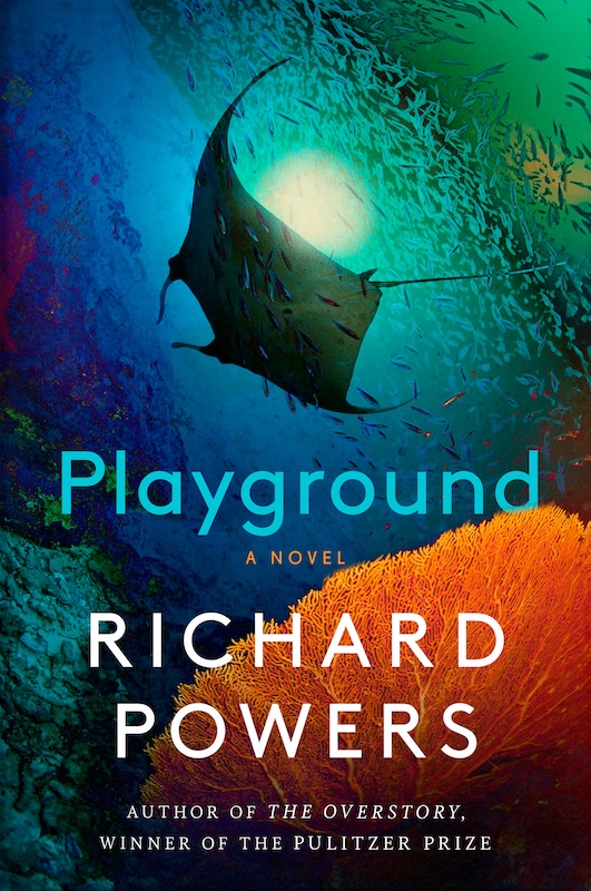 Playground book cover image