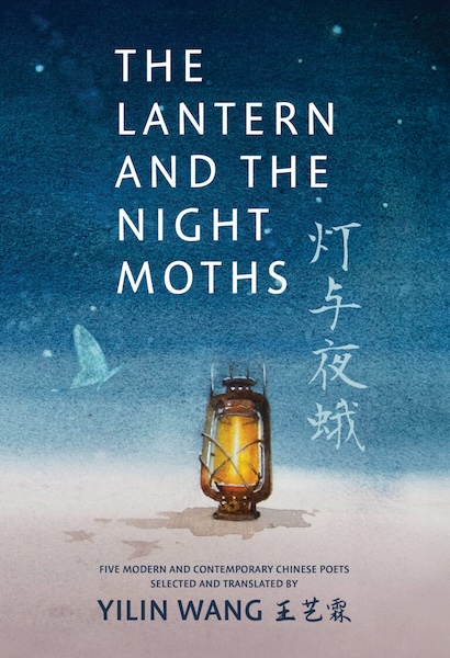 The Lantern and the Night Moths book cover image