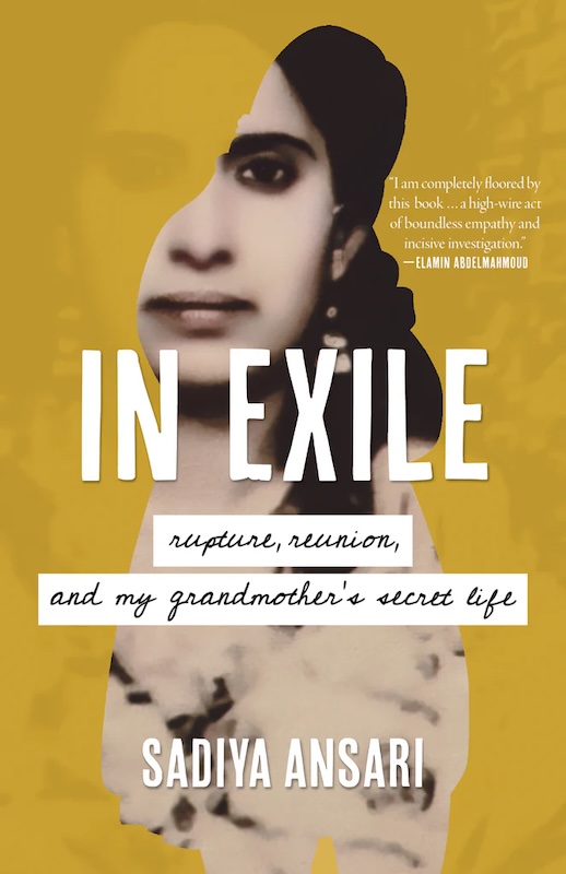 In Exile book cover image