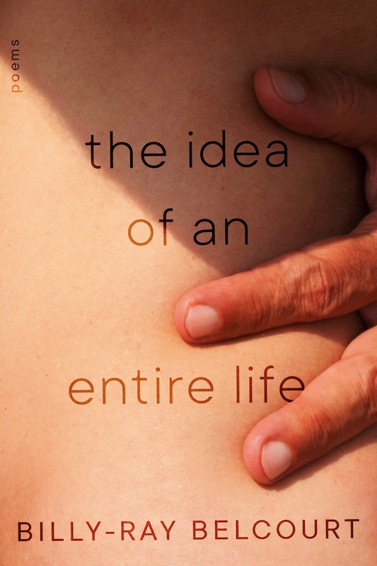 The Idea of An Entire Life book cover image