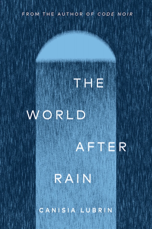 The World After Rain book cover image