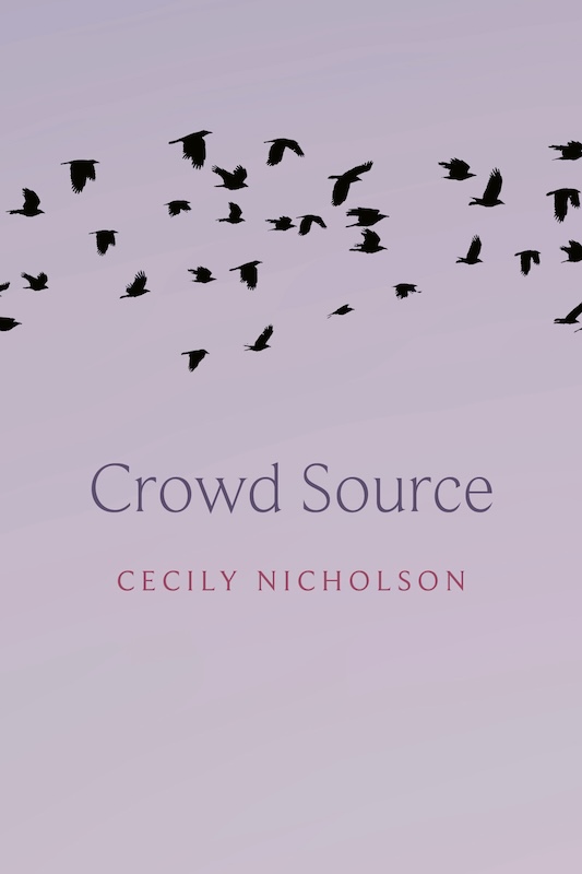 Crowd Source book cover image