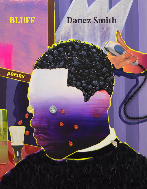 Bluff book cover image