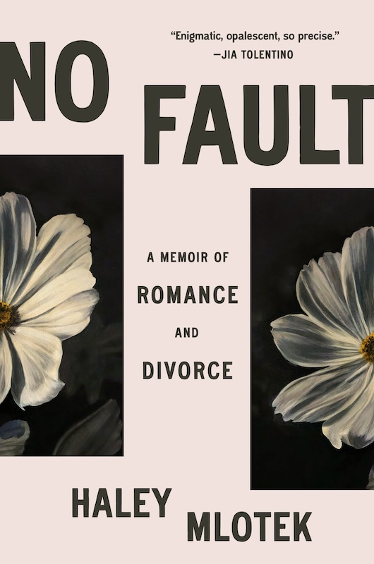 No Fault book cover image