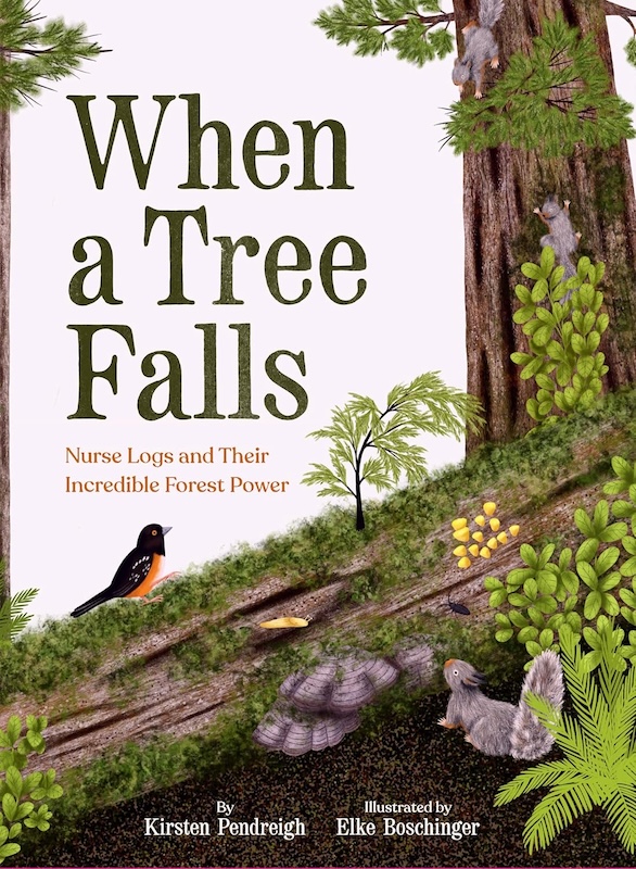 When a Tree Falls book cover image