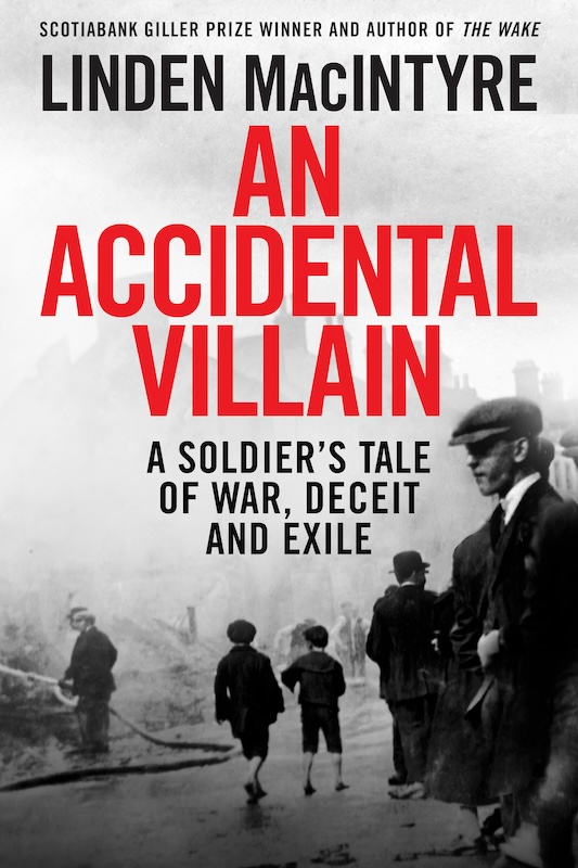 An Accidental Villain book cover image