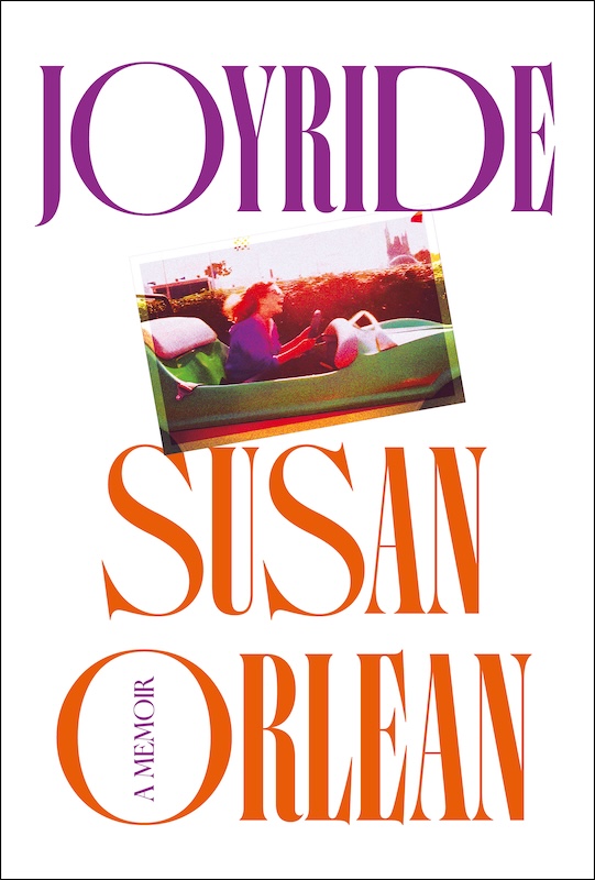 Joyride book cover image