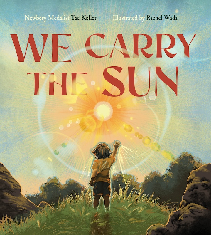 We Carry the Sun book cover image