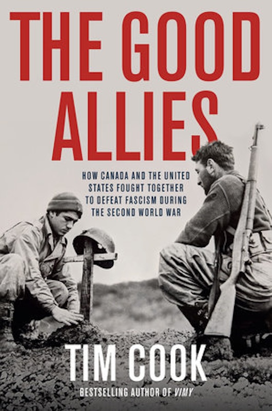 The Good Allies book cover image
