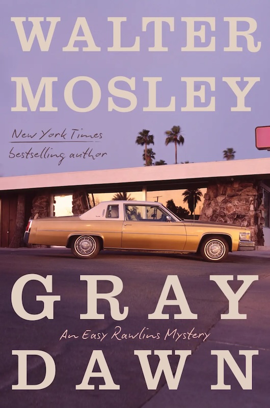 Gray Dawn book cover image