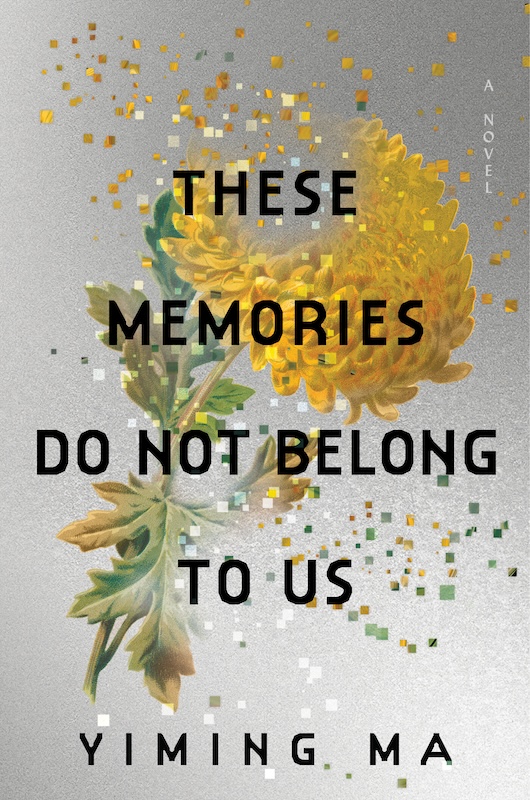 These Memories Do Not Belong to Us book cover image
