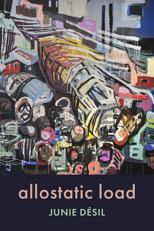 allostatic load book cover image