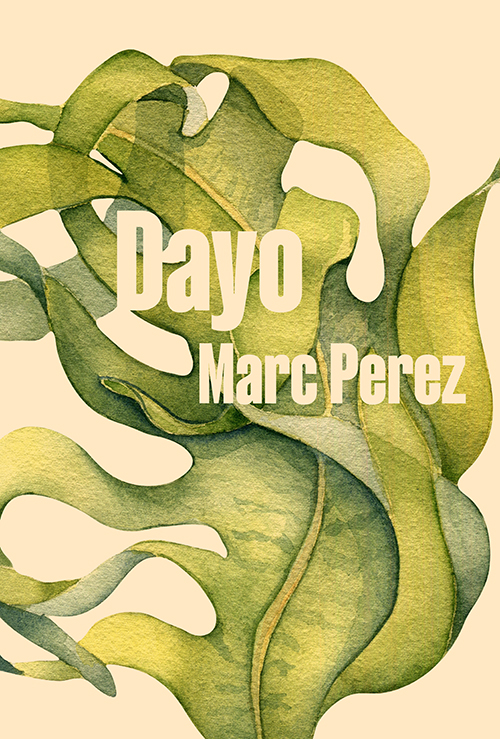 Dayo book cover image