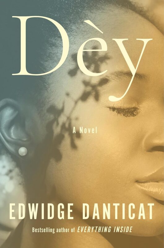 Dèy book cover image
