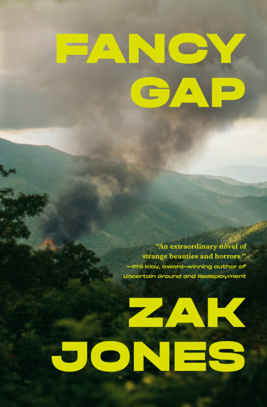 Fancy Gap book cover image