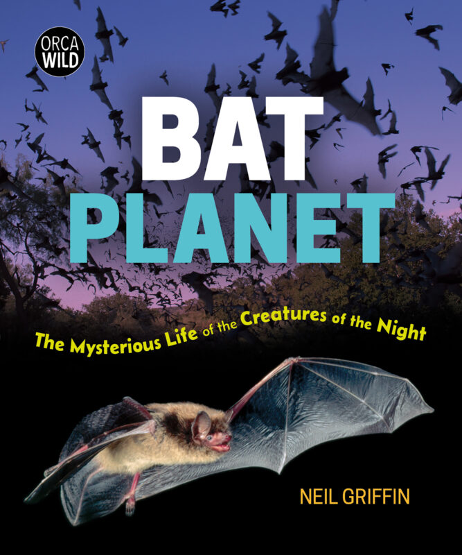 Bat Planet book cover image