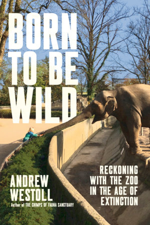 Born to be Wild book cover image
