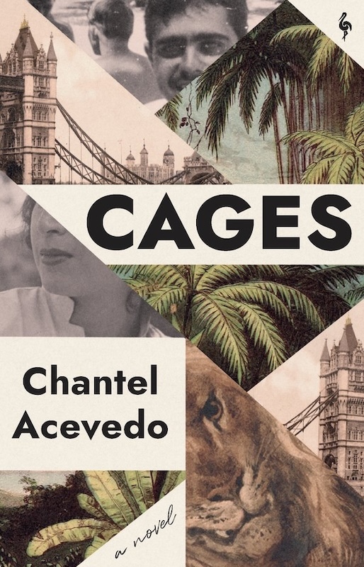 Cages book cover image