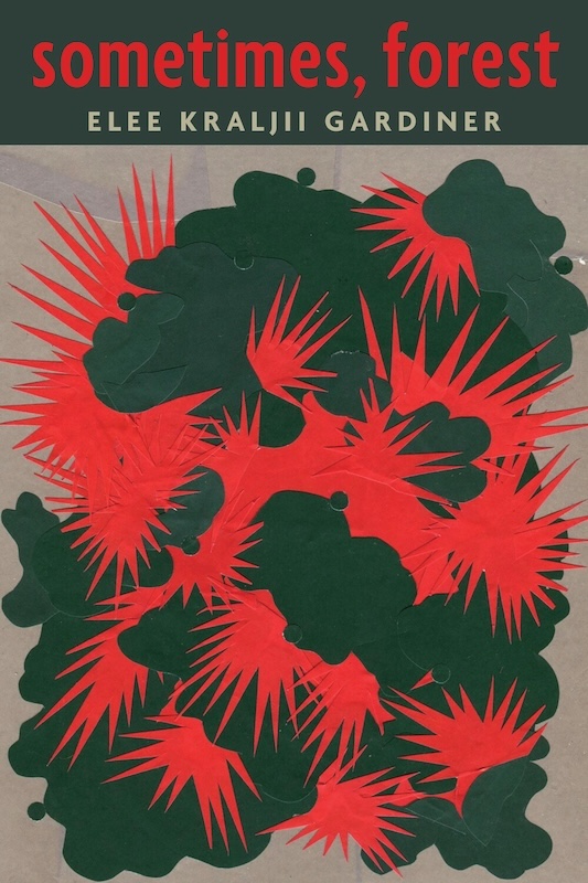 sometimes, forest book cover image