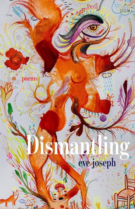 Dismantling book cover image