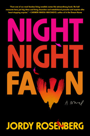 Night Night Fawn book cover image
