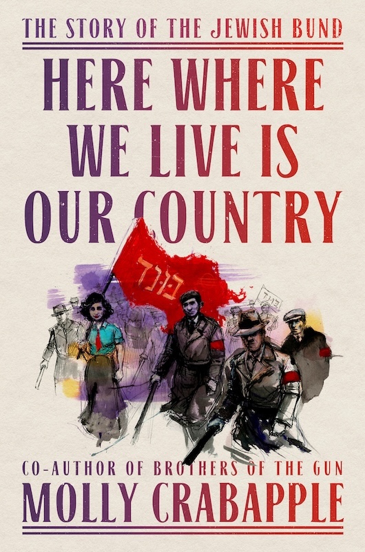 Here Where We Live Is Our Country book cover image