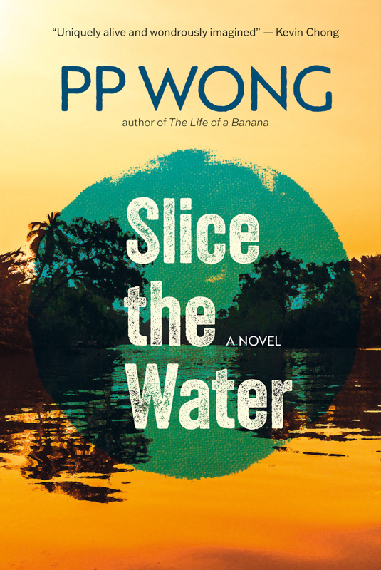 Slice the Water book cover image