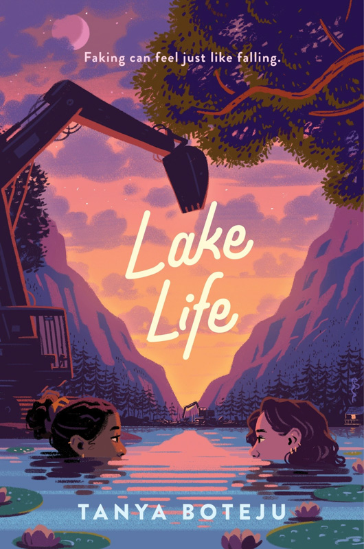 Lake Life book cover image