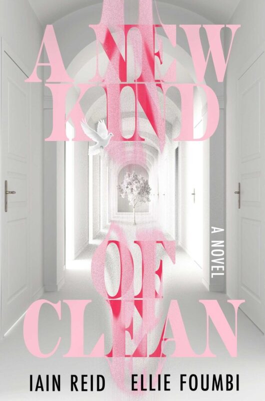 A New Kind of Clean book cover image