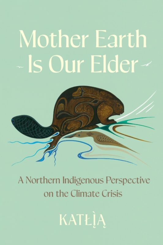 Mother Earth Is Our Elder book cover image